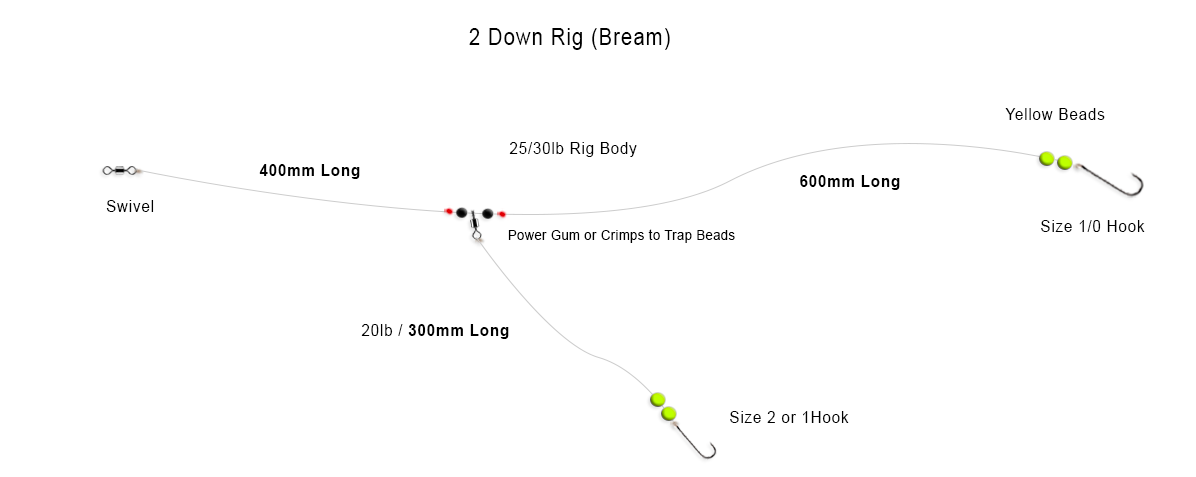 2 Down Bream Rig, Weymouth